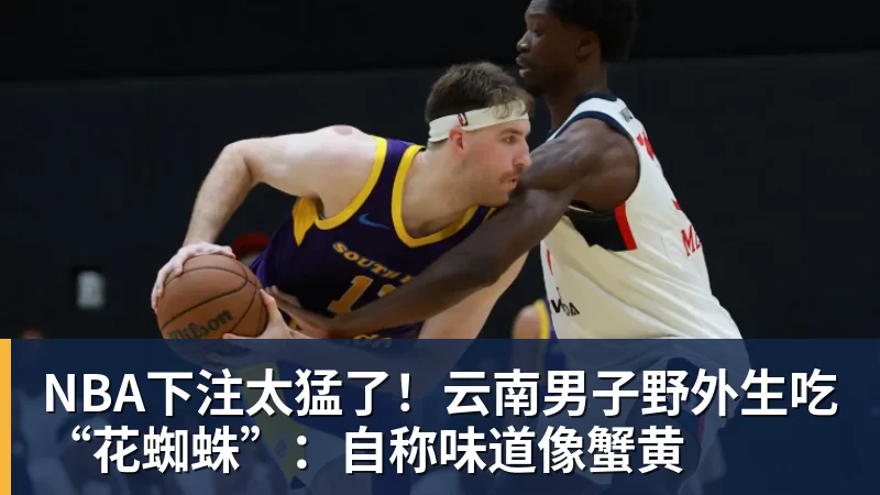 NBA下注太猛了!云南男子野外生吃“花蜘蛛”:自称味道像蟹黄