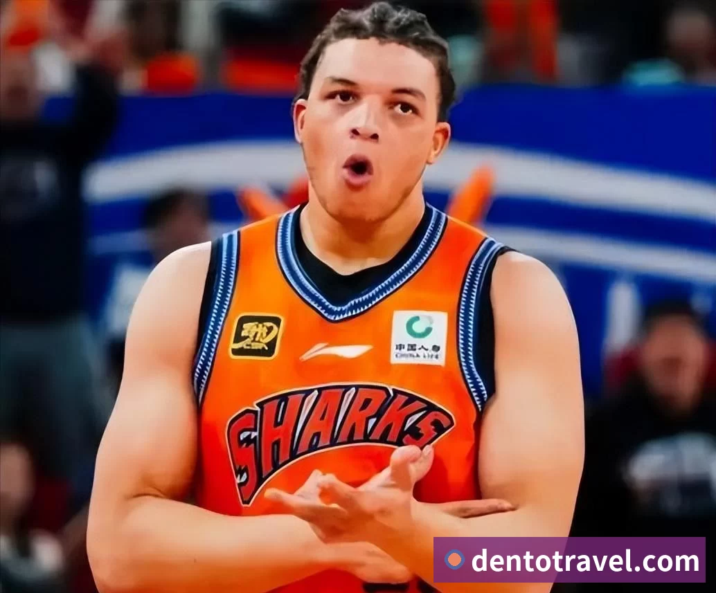 拉锯战!开拓者一度领先14分:阿夫迪亚16分7助,双星38分紧咬 - NBA下注官网 - nba中国官方网站